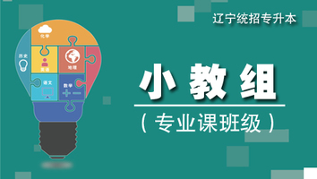小教组（专业课班级）