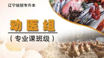 动医组（专业课班级）