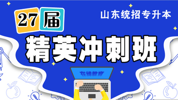 27届精英冲刺班