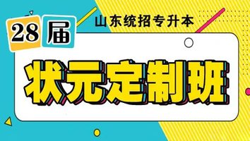 28届状元定制班